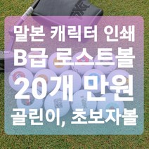 메이저브랜드 로스트볼 B급 로스트볼 20알 1세트 말본 캐릭터 프린팅 골린이 초보자 골프공, 볼빅