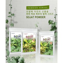 [소자트헤나 1+1]100%천연헤나 소자트 친환경 세이프존 헤나 염색약 1+1 4가지 색상 중 (택1)/파우더타입 천연염색약 1+1, 인디고(1+1)