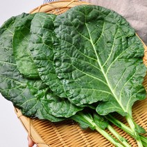 [푸르젠] 전남 담양 김상식 님의 유기농 케일 2kg(즙용), 케일 2kg