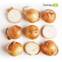 쿠잉Fresh 국내산 햇 양파 2 4 8kg 소 중 대 특대, 쿠잉Fresh 국내산 햇 양파 대(L) 4kg