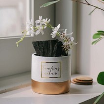 동양란 숯화분 화분 그린테리어, 블랙_터칭네이처 스티커 추가