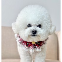 강아지 케이프 레이스 포토존 스카프, 버건디핑크, M