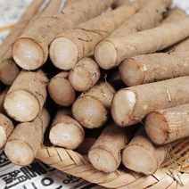 [푸르젠] 3대 전통 안동 우엉 (알뜰~가공품), 1개, 4kg (대상)