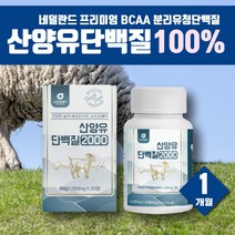 네덜란드 산양유 류신 단백질 밀크칼슘 분리 유청 단백질 WPI 필수 아미노산 바이탈 비씨에이 노인 간식 단백질 보충제 글로불린 MBP 동물성 단백질 프로틴 프로테인 비씨에이에이