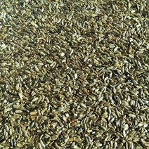 곤드레씨앗 1000립/곤드레나물씨앗/고려엉겅퀴씨앗/국내 채종 종자