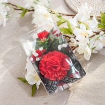 바보사랑 3송이 카네이션코사지(케이스) 조화 꽃 어버이날 감사 선물 FAICFT.플라워트리, 핑크