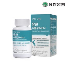 유한 식물성 MSM 관절 영양제 240정 1개, 단품, 단품