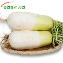 농협 [농협청과33번] 무 7kg 내외 (3-5개), 1