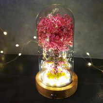 드라이플라워 프리저브드 안개 꽃 플라워 꽃무드등 기념일선물, 안개+A형금속각인, 추가안함