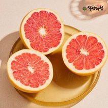 식탐대첩 이스라엘 레드자몽 소과 5개 (개당270g내외), 단품
