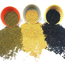오스린 콩나물키우기 전용 콩 100g 300g 500g, 콩나물콩 500g, 1개