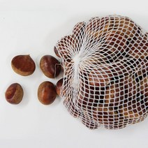 공주밤 약단밤 햇밤 칼집밤 반깐밤 국내산 알밤, 공주 칼집밤(햇밤) 대 1키로