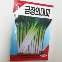 안산 플라워마트 상추 씨앗, 1개, 금장외대파