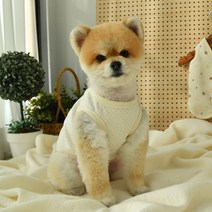 카니쿨라 강아지옷 실내복 누빔 조끼, 도트브라운