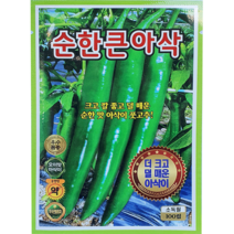 [씨앗맛집] 순한큰아삭고추 안 덜매운 아삭 풋 오이 고추 야채 채소 씨앗 씨 모종 종자