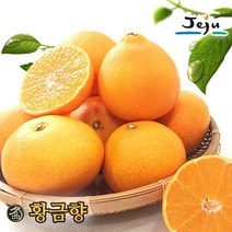 올찬 [올찬] 황금향 3kg 14~16과 (대), 1
