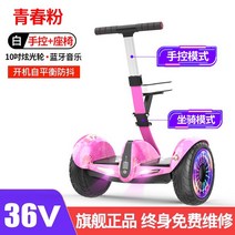 전동휠 킥보드 두발 고카트 외발 로봇 호버보드 보드형 듀얼전동 접이식, 6.36V유스파우더핸드컨트롤+마운트+10인치눈부신휠, 54v