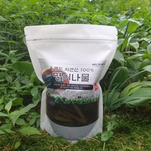 울릉도 특산품 자연산/울릉도산 명이나물장아찌 1kg 산마늘 절임, 울릉도산명이장아찌1kg, 1개