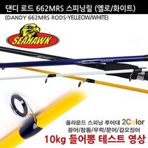 씨호크 스피닝 댄디로드 선상바다루어낚시대 광어참돔우럭쭈꾸미갑오징어, 댄디화이트 662MRS