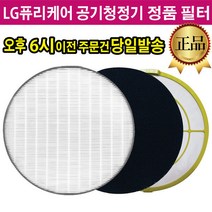 LG 퓨리케어 공기청정기 정품 필터 LA-V079SE, 02.스모그탈취 필터