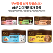 부산물 무첨가 강아지캔 95g X 5개 묶음 대용량 노령견 습식사료 밥안먹는강아지 새끼강아지 영양간식 dogtreat 습식캔 파우치 말티즈 리트리버 푸들 비숑 시바, 치킨야채(95g X 5개)