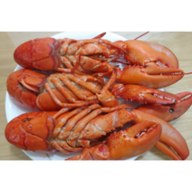 캐나다 자연산 ﻿랍스타 손질 냉동 자숙 랍스터, 1. 랍스터 4마리, 4개