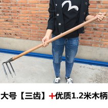 쟁쇠 도라지창 사지 삽쇠 돌고르기 철호그삽 쇠스랑 텃밭관리기, 옵션2