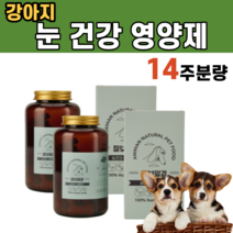 강아지 반려견 눈 건강 안구 건조 질환 시력 회복 결막염 완화 망막 유지 소간 비타민A B1 B2 베타카로틴 안토시아닌 폴리페놀 칼슘 마그네슘 당근 블루베리 레티놀 황태 말티푸, 2통