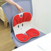 [2개 세트] 커블체어 와이더 - 바른자세 좌식 의자 허리 등받이 앉은뱅이 자세교정, 블루