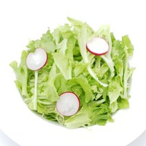 의령농산 유알팜 유러피안 조이 샐러드 50g 4팩, 4개