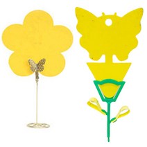 화분파리 살충 끈끈이 날파리제거 초파리트랩 날파리트랩 뿌리파리 제거제 파리끈끈이, 나비트랩10+꽂이5