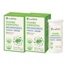 [서울대 바이오비옴] 기억력 환절기 혈행건강 혈액순환 은행잎추출물 유산균 /기억력 개선 뇌건강 혈행개선 장건강, 30캡슐, 2박스