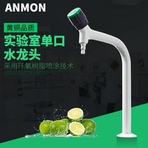 실험실수전 수도꼭지 공장 연구소 연구실 전문용 거위목수전 Anmon 실험실 테스트 단일 조인트 단일 포트 구리 스프레이 Shuizui 초등 및 중등 학교 단위 병원 화학 산업