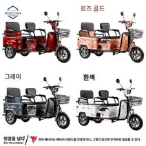 3륜 오토바이 전기 전동 전동차 삼륜 노인 스쿠터, 60V