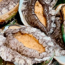산지직송완도활전복명절 완도전복직거래, 활전복(소) 40~50 1Kg