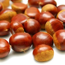 21년 햇밤 달고 맛있는 속이 꽉찬 공주 정안밤 알밤 생밤 밤, 1box, 특대-2kg