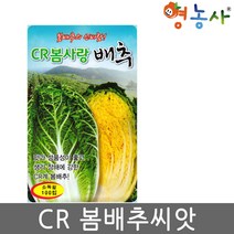 CR 봄사랑 배추씨앗 100립, CR봄사랑배추(100립)