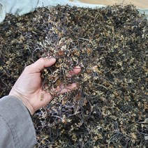 제주고사리 보름나물 자연산 햇고사리 건고사리 햇 건 말린 고사리300g 600g, 제주 햇 건고사리300g, 1개
