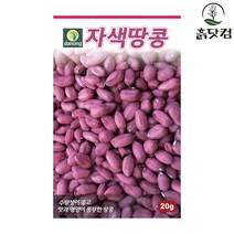 자색땅콩씨앗 20g 초세 강함 재배 용이 노화방지 효과 + 네임택, 단품