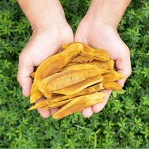 국산 산지직송 장수상황버섯 100g 절편, 1개