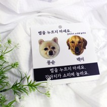 싸인팩토리 맞춤 제작 포토 펫 캣 반려 동물 현관 도어사인 아크릴 셀프 인테리어 디자인 디자인문패, 기본형
