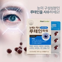 식약처 인증 눈사랑 눈에 좋은 루테인 마리골드 꽃 건강 기능 영양제 비타민 A B 나이아신 비타민E 아연 셀레늄 망간 함유 캡슐, 1BOX(1개월분)