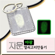[유앤아이사이언스] 야광지문열쇠고리(10명1세트), 기본