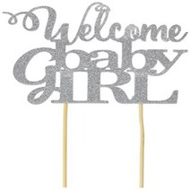 All About Details Silver Welcome Baby Girl Topper 6 x 9, 1