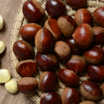 공주밤 정안 알밤 고맛나루밤 밤농장 100년 맛밤 햇밤, 특대4kg