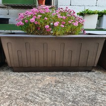 도로화분 대형화분 사각화분 관공서화분 큰 화분, 동색