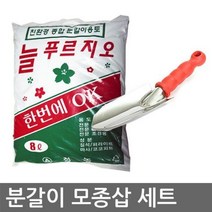여인초 아레카야자 행운목 분갈이 몬스테라 분갈이흙, 1.식물고정링(50입x2개)