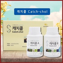 중앙미생물연구소 몸속 찌꺼기 배출 클렌즈 프로그램 캐치콜, 1세트, 200ml