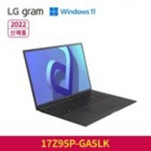LG 2022 그램 17, 옵시디안 블랙, 17Z95P-GA5LK, 코어i5 11세대, 256GB, 16GB, WIN11 Home