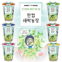 한컵새싹농장 씨앗키우기 6종 / 모종키우기 체험학습재료 원예체험 꽃, 브로콜리